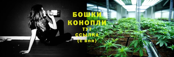 apvp Верхний Тагил