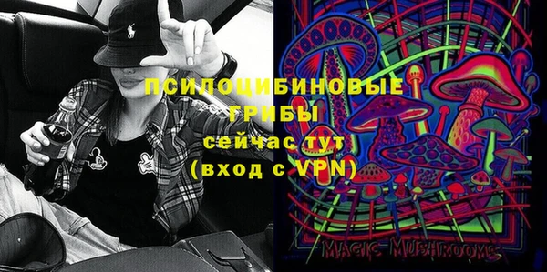 apvp Верхний Тагил