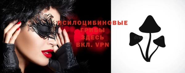 мяу мяу кристалл Верея