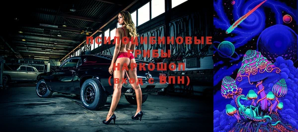 apvp Верхний Тагил