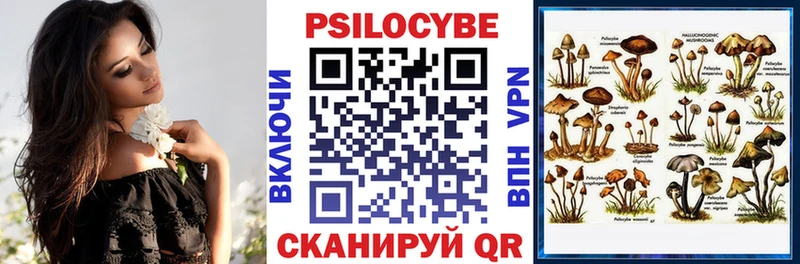 Галлюциногенные грибы Cubensis  купить   Верхоянск 
